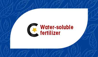 Water soluble fertilizer